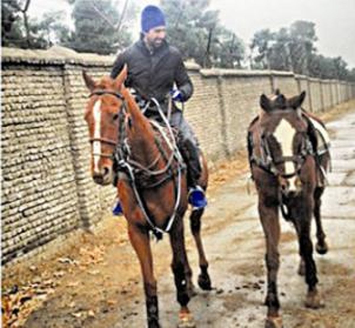 سوارکاری فرهاد مجیدی را ببینید + عکس