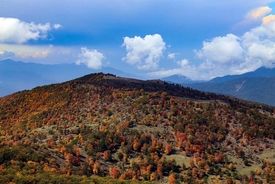 خطر خروج جنگل‌های هیرکانی از فهرست میراث جهانی