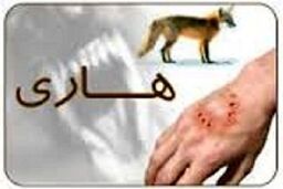 هشدار دانشگاه علوم پزشکی زاهدان در خصوص خطر شیوع «هاری»
