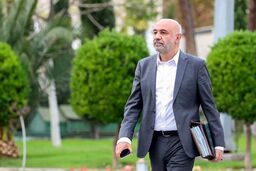 میدری: قدرت خرید مردم با طرح کالابرگ حفظ می‌شود