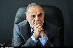 دولت هنوز برنامه ای را برای حمایت از بخش معدن اعلام نکرده است
