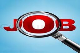 با دیپلم، صاحب پردرآمدترین شغل شوید