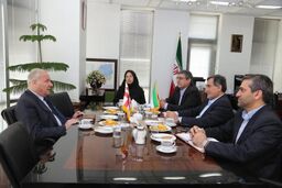 گسترش همکاری حمل ونقلی و مبادلات تجاری ایران و گرجستان