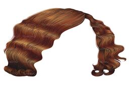 نقاشی با مو / عکس