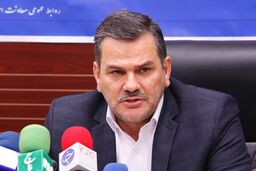 طرح مرغ سایز 5 هزار میلیارد تومان صرفه جویی در پی دارد