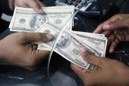 تشکیل پرونده قضایی برای اخلال گران ارز و نهاده های دامی 