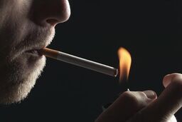 تعداد افراد سیگاری جهان چقدر است؟