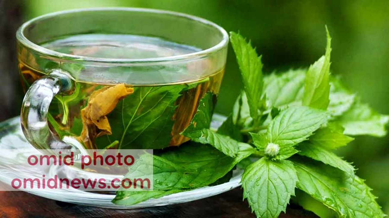 دمنوش گزنه،دشمنی برای سنگ کلیه