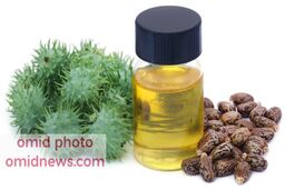 10 خاصیت شگفت انگیز روغن کرچک که نمیدانستید  