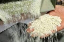 آلودگی بالای برنج سبد اهدایی دولت