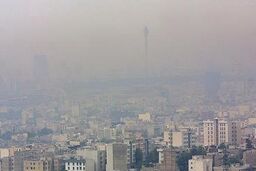 کاریکاتور / لطفاً نفس نکشید