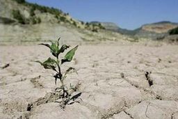 کاهش بارندگی امسال نسبت به سال گذشته