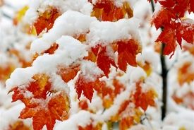 هواشناسی؛ بارش باران و برف در 19 استان طی امروز