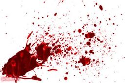 قتل دانشجوی جوان با ضربه‌ های سنگ