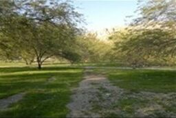 درخواست محیط زیست استان تهران از شهروندان برای پاسبانی از طبیعت در ایام نوروز