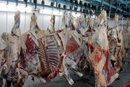 ثبات دو ماهه قیمت گوشت گوسفند و خلوت شدن قصابی ها پس از نوروز