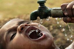 مرگ در دل دریاچه هامون