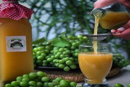 طرز تهیه شربت آبغوره ترش و خوشمزه ی شمالی