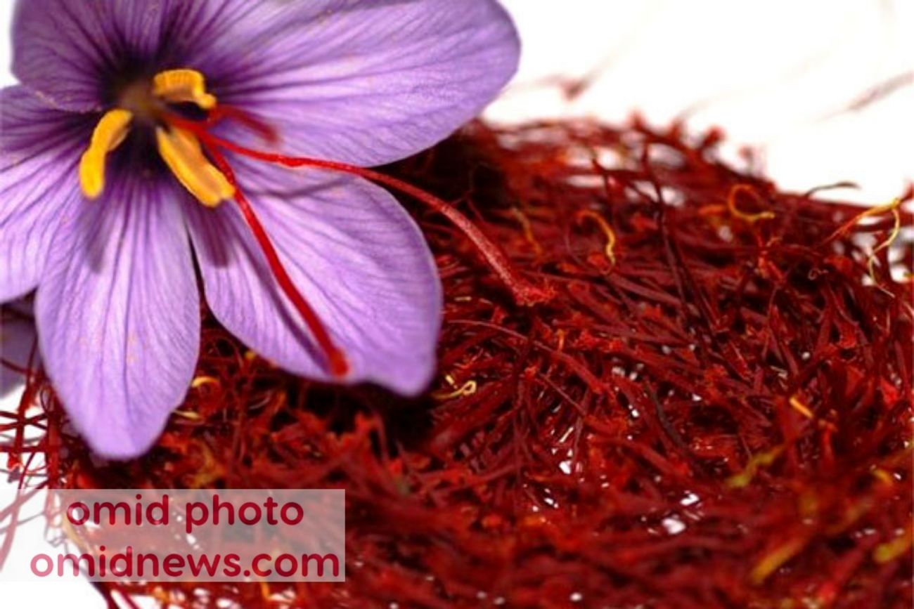 چگونه زعفران اصل و تقلبی را تشخیص دهیم؟