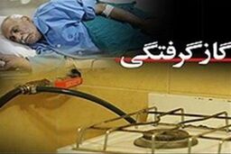 مرگ ۱۶۹ نفر به دلیل مسمومیت با گاز CO در استان تهران