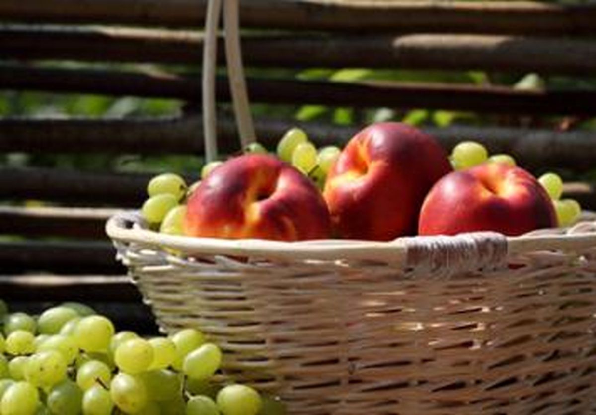 تشریح تغذیه بیماران قلبی تا رژیم مدیترانه ایی