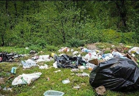 معضل زباله در شمال کشور؛ جنگل‌هایی که زیر کوه‌های پسماند دفن می‌شوند
