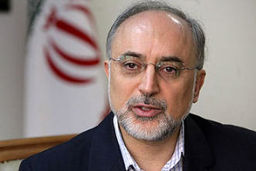 مذاکره با آمریکا از دولت قبل شروع شد / استقبال ۱ + ۵ از پیشنهاد ایران درباره اراک / پایان رقیق سازی ۲۰درصد
