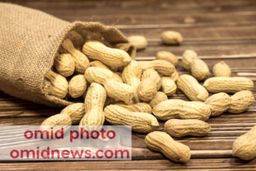 بادام زمینی، از خواص تا معایب