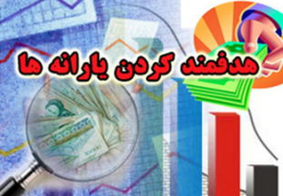 ضرورت نظارت بر تخصیص سهم تولید از هدفمندی