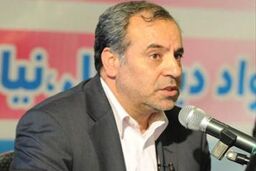 تعیین شیوه های اجرایی، لازمه گسترش شبکه ملی فرهنگ