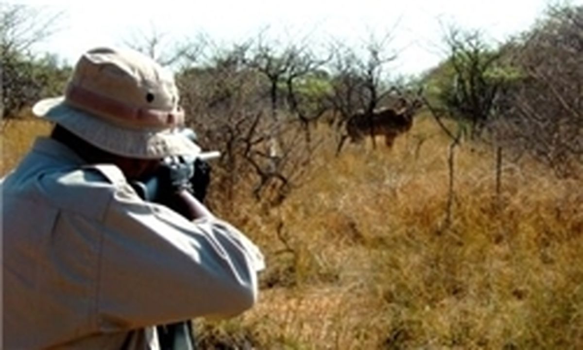 پرندگان شهر ری از دست شکارچیان نجات پیدا کردند