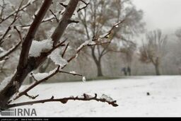 هزینه میلیاردی برف تهران برای دولت