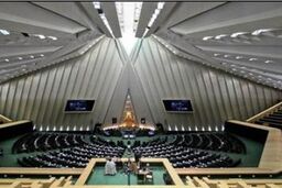 حضور رئیس کمیسیون مالی مجلس سنای فرانسه در صحن علنی مجلس