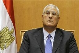 رئیس‌جمهور موقت مصر تا ساعاتی دیگر بیانیه قانون اساسی را صادر می‌کند