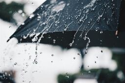 کاهش 69.1 درصدی بارش‌ها در کشور/ بارش‌ها در تهران 91.2 درصد کاهش یافت 