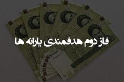 فاز دوم هدفمندی جراحی خطرناک و موجب تورم و بی اعتباری پول ملی است