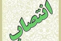 " ذبیح اله فیض آبادی " به عنوان مدیرعامل جدید بنیاد ملی بازی های رایانه ای منصوب شد