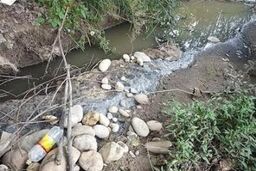 ورود فاضلاب های شهری ساحل بندرعباس را دچار مشکل کرده است