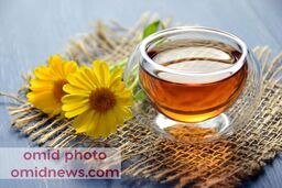 روغن جادویی گل همیشه بهار