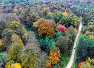 گردشگری مسئولانه؛ پیشران حفاظت از جنگل‌های هیرکانی