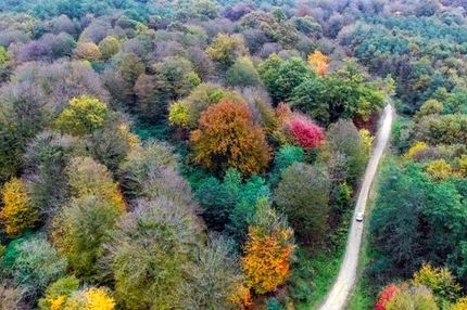 گردشگری مسئولانه؛ پیشران حفاظت از جنگل‌های هیرکانی