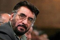من نقشی در برپایی تظاهرات عفاف و حجاب نداشتم