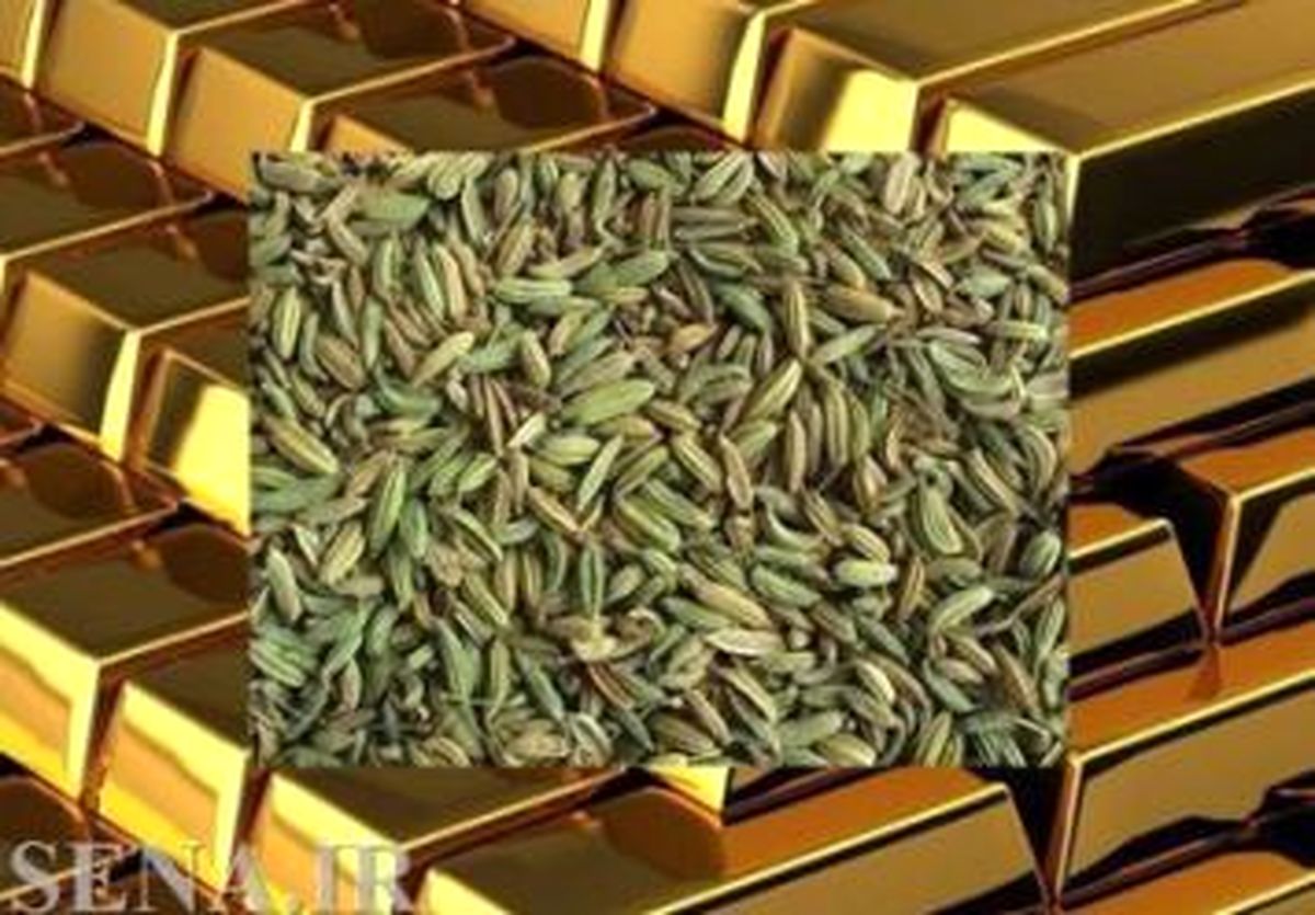 ورود طلای سبز به بازار مشتقه بورس کالای ایران