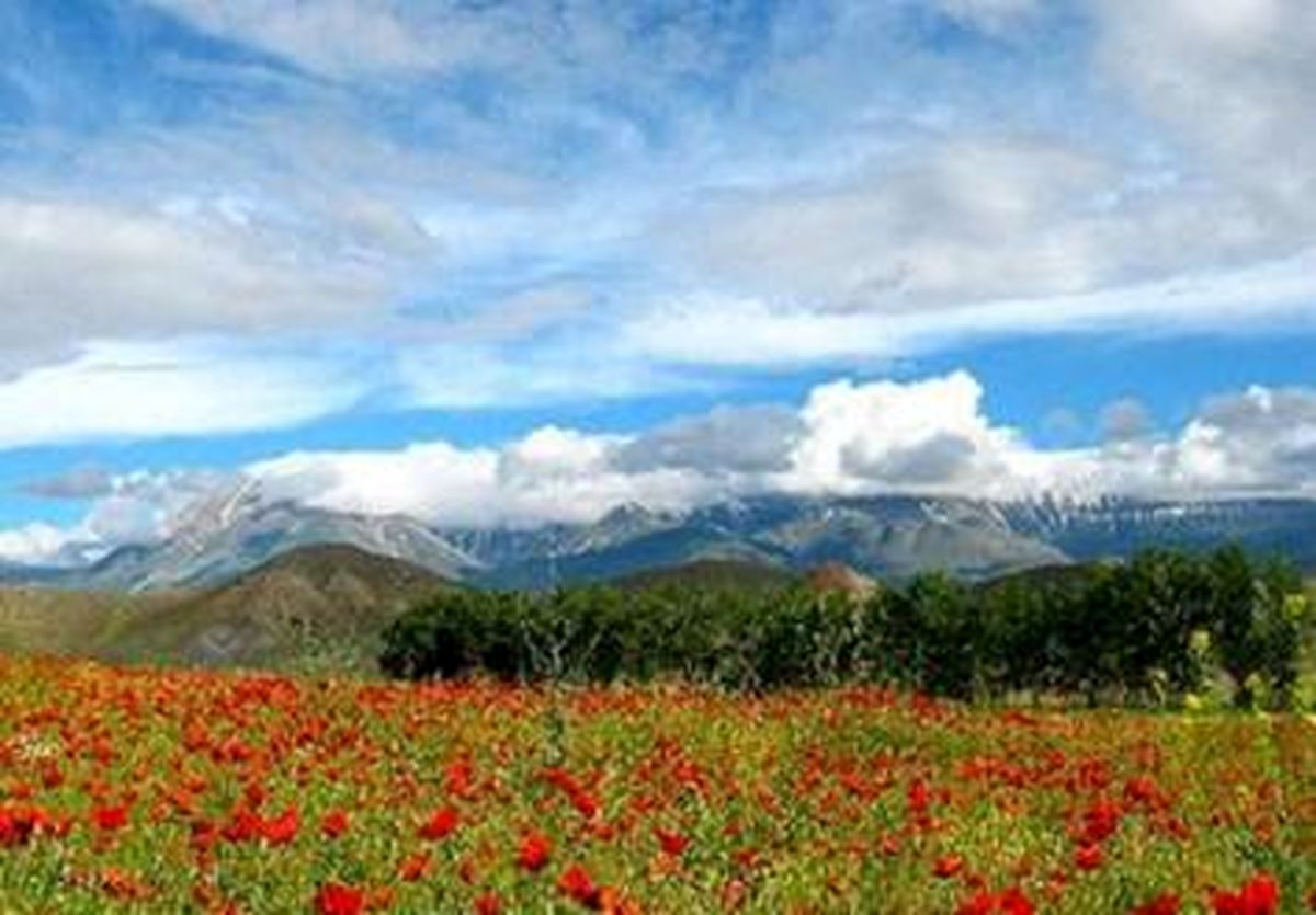 افزایش دمای کشور تا آخر هفته / شهرکرد ۷ درجه زیر صفر