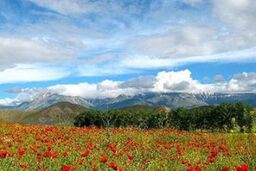 افزایش دمای کشور تا آخر هفته / شهرکرد ۷ درجه زیر صفر