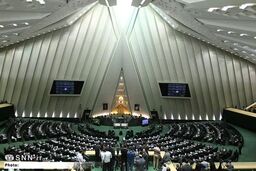 نعمت زاده برای ارائه گزارش و فانی برای پاسخ به سوال نمایندگان در جلسه علنی امروز مجلس حاضر می شوند